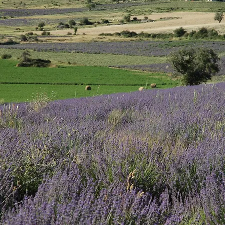 La Claveliere