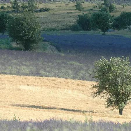 La Claveliere * Saint-Auban-sur-lʼOuvèze